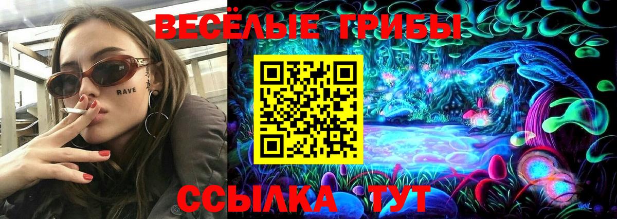 Галлюциногенные грибы Psilocybe Приморско-Ахтарск