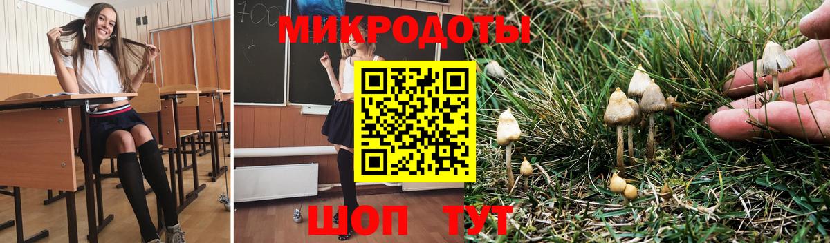 Псилоцибиновые грибы прущие грибы  Псилоцибиновые грибы мухоморы  Приморско-Ахтарск  Вход с VPN 